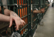 Urmărit internațional se pretindea inspector ANAF. A fost prins de politiștii argeșeni