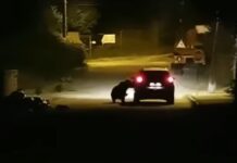 Momentul în care o ursoaică atacă o mașină pe o stradă din Bușteni (video)