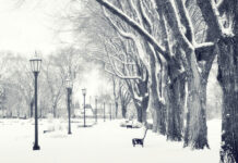 Consiliul Județean Prahova a semnat contracte de deszăpezire pentru iarna 2021-2022 de aproape 15 milioane de lei