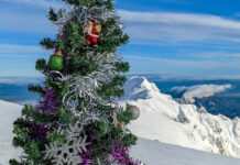Brad de Crăciun împodobit în cel mai înalt vârf din Bucegi. Valea Prahovei văzută de la 2.507 m altitudine
