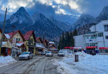 ANSVSA a dat amenzi de peste 140.000 lei în ultimele două zile