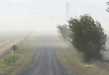 Avertizare cu cod roșu pentru vânt în Carpații Meridionali