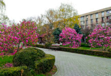 Echinocţiu: Primăvara astronomică începe azi la ora 23.24