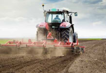 Cum va fi următoarea săptămână pentru agricultură? Specialiștii anunță secetă în Dobrogea, pe suprafeţe extinse din Moldova şi în unele zone din Muntenia şi Banat