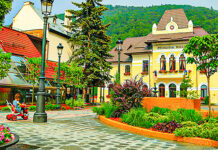 Excursie gratuită oferită de Primăria Sinaia pentru elevi